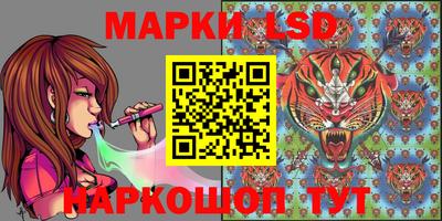 apvp Беслан