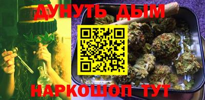 сатива Бийск