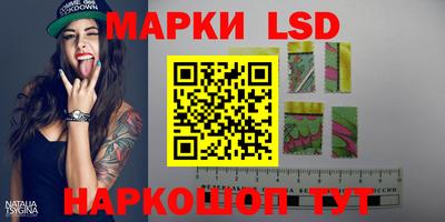 apvp Беслан