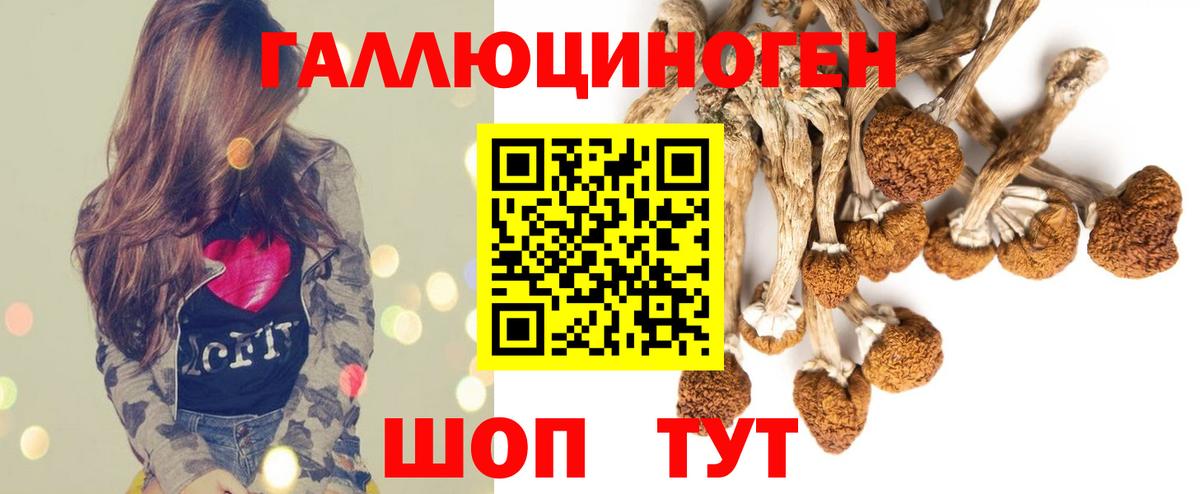 Вятские Поляны  Галлюциногенные грибы Cubensis  Вход с VPN 