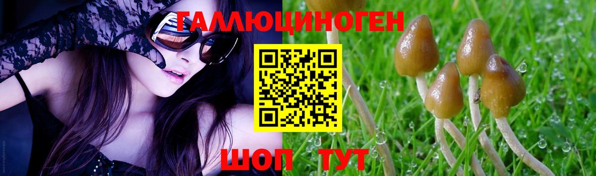 Галлюциногенные грибы Psilocybine cubensis Вятские Поляны
